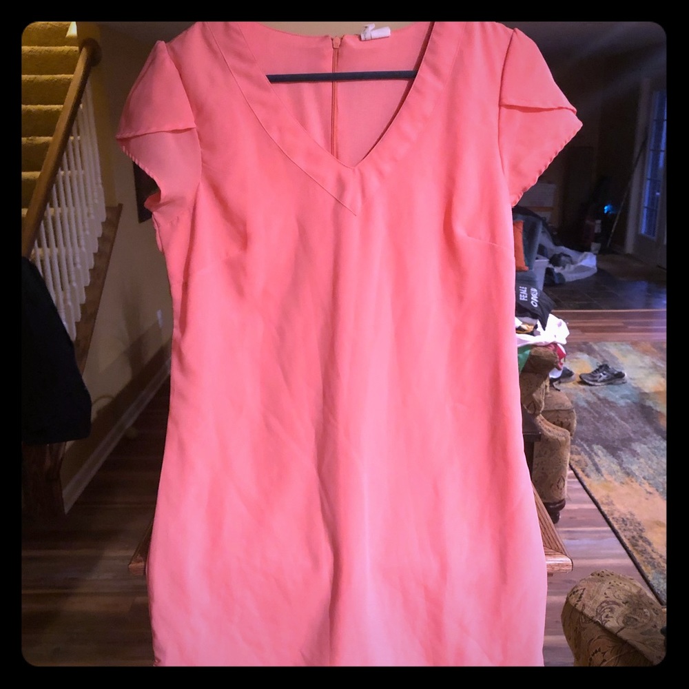 Pink Japna Dress